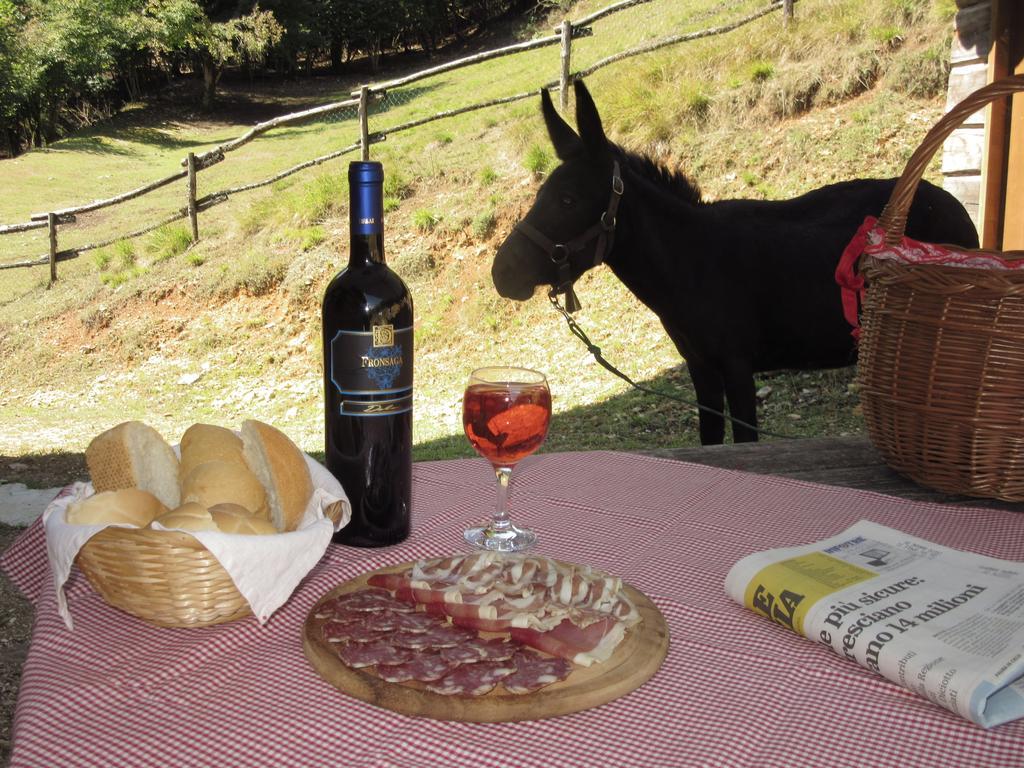Agriturismo Agrimon Villa Sabbio Chiese Екстериор снимка
